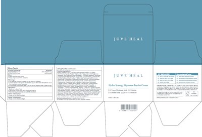 Image Of Carton (Cream Carton)